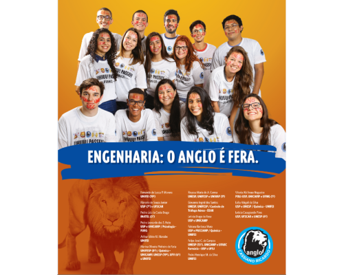 LETÍCIA BRAGA DA ROSA Turma IEF 2013/2015 LETÍCIA BRAGA DA ROSA Turma IEF 2013/2015
