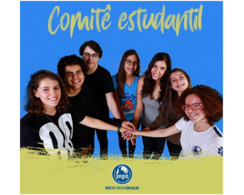 COMITÊ ESTUDANTIL ANGLO GIOVANA 3º ANO